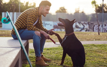 Kutyakiképző tanfolyam TanfolyamAjánló.hu