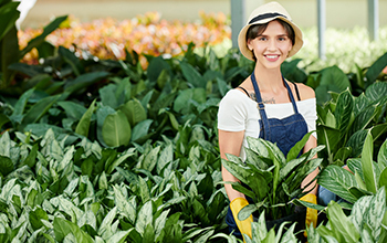 Dísznövénykertész TanfolyamOKJ.hu