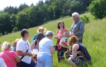 Gyógynövénygyűjtő - felismerő túra Bükkszentkereszten Konnektív Felnőttképző Kft