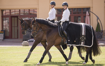 Sportoktató (lovaglás) Mátrix Oktatási és Vizsgaközpont