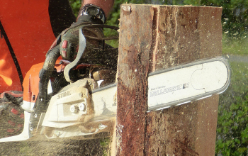 Motorfűrész kezelő Mátrix Oktatási és Vizsgaközpont