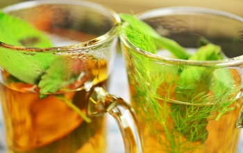 Fitotreápia TÁVOKTATÁS Konnektív Felnőttképző Kft