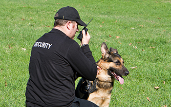 Kutyavezető vagyonőr TanfolyamOKJ.hu