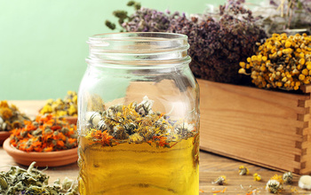 Fitoterapeuta - online tanfolyam Eszenciacentrum  Kereskedelmi, Oktatási és Szolgáltató Kft.